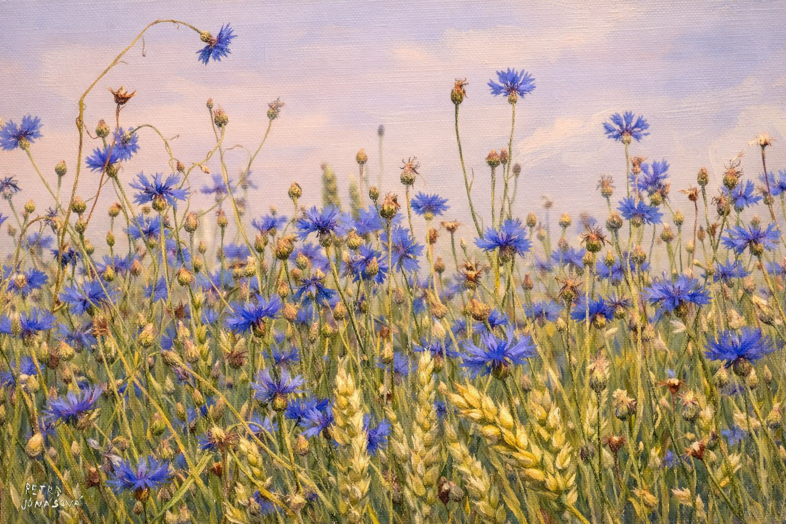 terapeutické obrazy